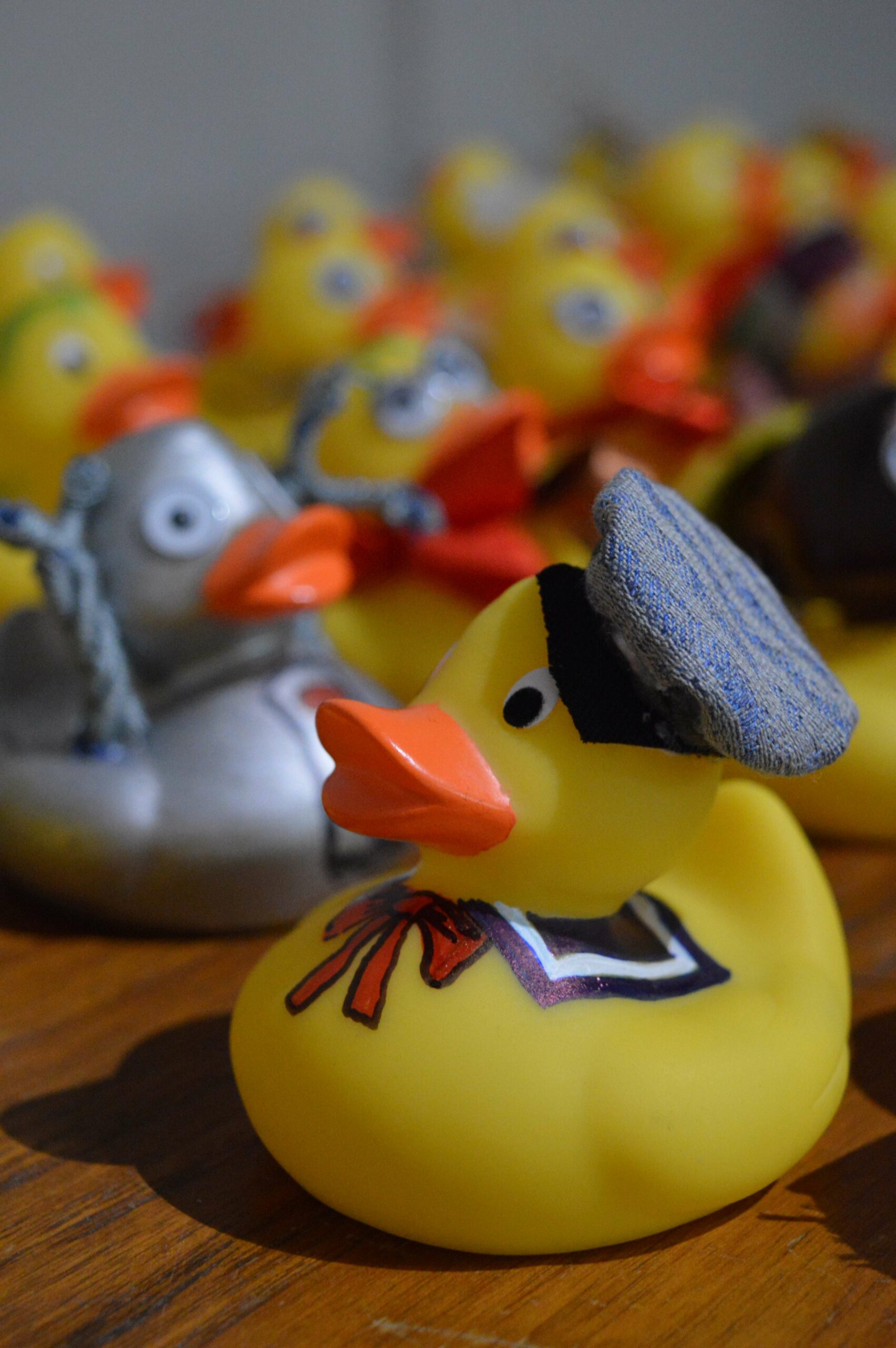 Kylpyankkakellunnasta suunnitellaan jokakesäistä perinnettä